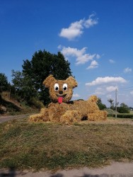 Dożynki parafialne 2019 - zdjecie 80