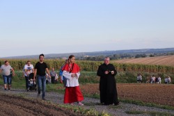 Pielgrzymka do obrazu MB Piekarskiej w Miejscu Odrz. 2019 - zdjecie 31