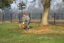 Sprzątanie cmentarza jesień 2019r. - zdjecie 20