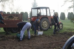 Sprzątanie cmentarza jesień 2019r. - zdjecie 29