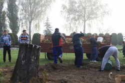 Sprzątanie cmentarza jesień 2019r. - zdjecie 30