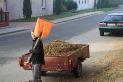 Sprzątanie cmentarza jesień 2019r. - zdjecie 44