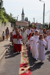 Boże Ciało 2022 r. - zdjecie 95