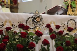 Św. Rita - 2023 r. październik - zakończenie obchodów 800-lecia parafii - zdjecie 100