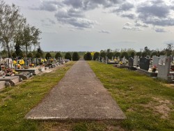 Cmentarz - nowe nasadzenia 2024r. - zdjecie 1