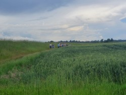 Camino 2024 r. - zdjecie 1