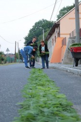Boże Ciało 2024 r. - zdjecie 11