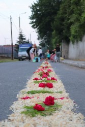 Boże Ciało 2024 r. - zdjecie 12