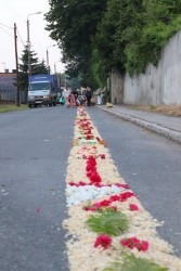 Boże Ciało 2024 r. - zdjecie 23