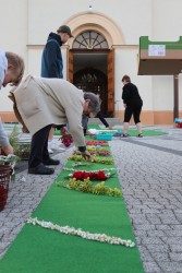 Boże Ciało 2024 r. - zdjecie 31
