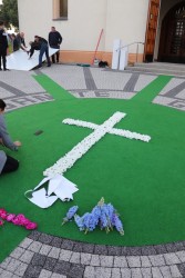 Boże Ciało 2024 r. - zdjecie 32