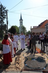 Boże Ciało 2024 r. - zdjecie 96
