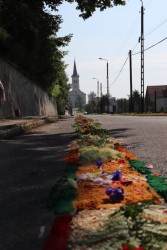Boże Ciało 2024 r. - zdjecie 141