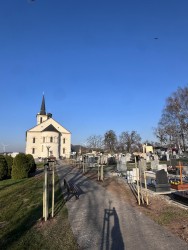Nasadzenia na cmentarzu 2025r. - zdjecie 8