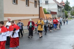 Dni Krzyżowe 2025 r. - zdjecie 10