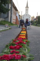 Boże Ciało 2025 r. - przygotowania - zdjecie 6