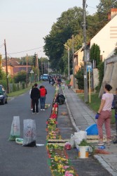 Boże Ciało 2025 r. - przygotowania - zdjecie 15
