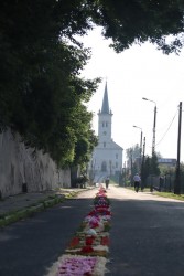 Boże Ciało 2025 r. - przygotowania - zdjecie 32