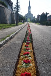 Boże Ciało 2025 r. - przygotowania - zdjecie 43