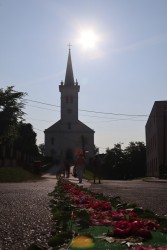 Boże Ciało 2025 r. - przygotowania - zdjecie 47