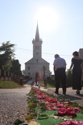 Boże Ciało 2025 r. - przygotowania - zdjecie 48