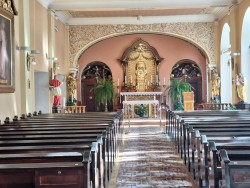 Pielgrzymka do Trzebnicy 2025r. - zdjecie 13