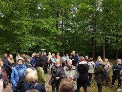 Pielgrzymka do Trzebnicy 2025r. - zdjecie 17