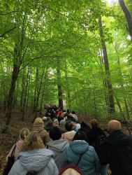 Pielgrzymka do Trzebnicy 2025r. - zdjecie 24