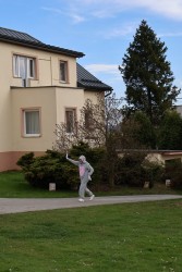 Zajączek w ogrodzie farskim 2026r. - zdjecie 8