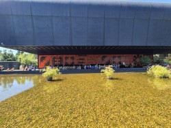 Wycieczka do Wrocławia 2026r. - zdjecie 8