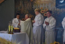 Dożynki w Miejscu Odrz. 2026r. - zdjecie 16